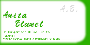 anita blumel business card